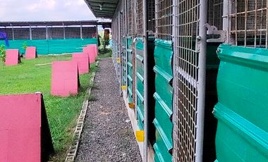 Lot For Sale In Santa Maria, Bulacan