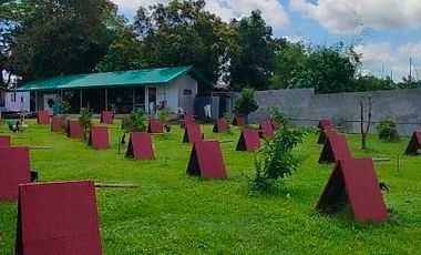 Lot For Sale In Santa Maria, Bulacan