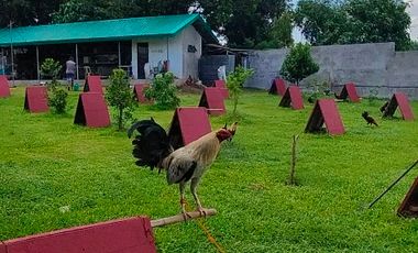 Lot For Sale In Santa Maria, Bulacan