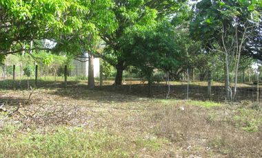 Main Road frontage 1285 square meters cleared, fenced near school. 20% deposit
