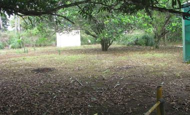 Main Road frontage 1285 square meters cleared, fenced near school. 20% deposit