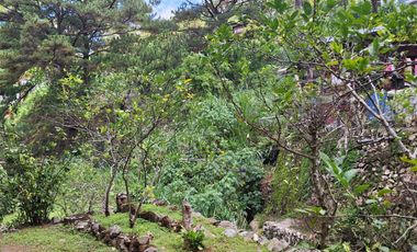 Baguio - A House SD Home w/ Spacious Garden ideal for a Restaurant & Air BnB