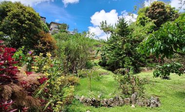 Baguio - A House SD Home w/ Spacious Garden ideal for a Restaurant & Air BnB