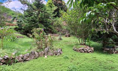 Baguio - A House SD Home w/ Spacious Garden ideal for a Restaurant & Air BnB