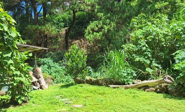 Baguio - A House SD Home w/ Spacious Garden ideal for a Restaurant & Air BnB