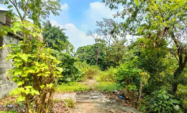2 Hectares Lot For Sale in Brgy. Sauyo, Quezon City