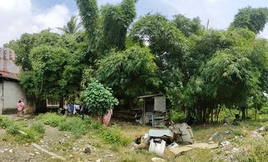 2 Hectares Lot For Sale in Brgy. Sauyo, Quezon City
