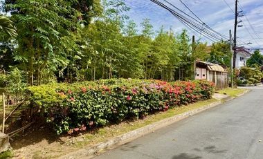 Bargain Residential Vacant Lot UPS 4 Paranaque