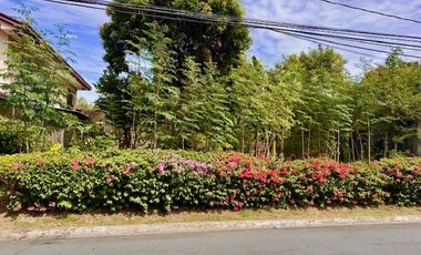 Bargain Residential Vacant Lot UPS 4 Paranaque