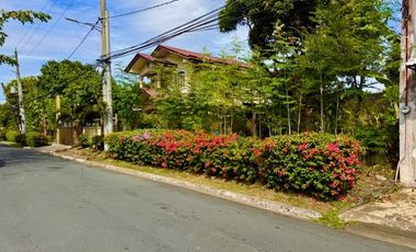 Bargain Residential Vacant Lot UPS 4 Paranaque