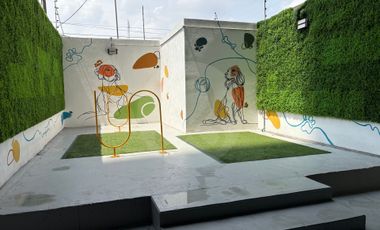 Departamento en renta en Lomas de Sotelo