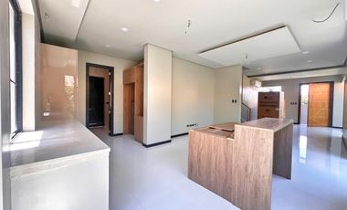 FOR SALE NEWLY BUILD ELEGANT MODERN DESIGN HOUSE IN BF HOMES PARANAQUE