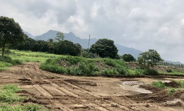 Residential Lot 433sqm with the view of Mt Malarayat in Lipa Batangas