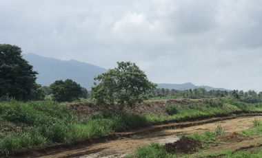 Residential Lot 433sqm with the view of Mt Malarayat in Lipa Batangas