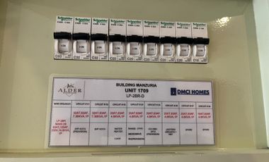 Alder DMCI 2 Bedroom Condominium with Parking for Rent/Sale
