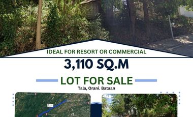 Residential Plot for sale in Bataan, Samal