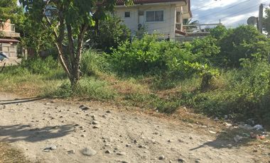 249 sqm residential lot in Dumlog Talisay City, Cebu