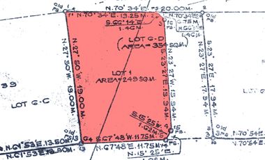 249 sqm residential lot in Dumlog Talisay City, Cebu