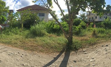 249 sqm residential lot in Dumlog Talisay City, Cebu