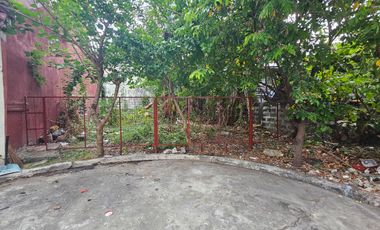 Imus Barcelona Lot only for sale