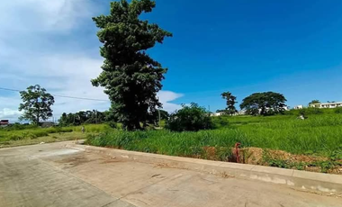 Affordable Residential Lot 10 Minutes to/from Puerto Princesa Airport Palawan