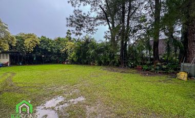 House for sale with big lawn