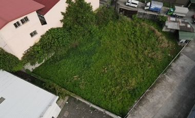 Mindanao Avenue Vacant Lot for Sale – Ideal for Commercial or Industrial Use