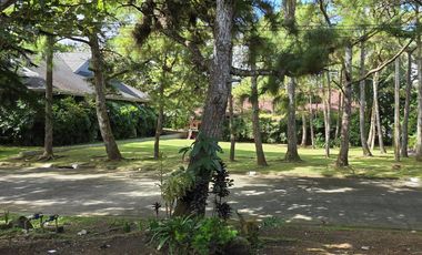 Your Dream Home Awaits You in Royal Pines Tagaytay