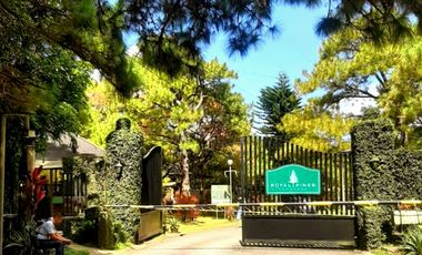 Your Dream Home Awaits You in Royal Pines Tagaytay
