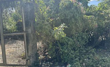 Farm for sale at Penaranda, Nueva Ecija