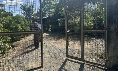 Farm for sale at Penaranda, Nueva Ecija