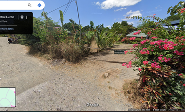 Farm for sale at Penaranda, Nueva Ecija