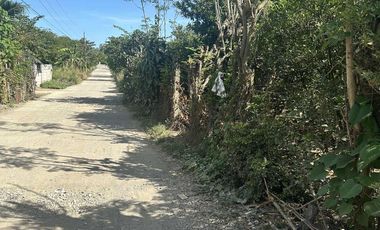 Farm for sale at Penaranda, Nueva Ecija