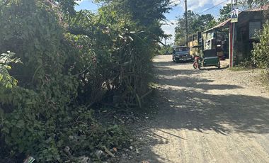 Farm for sale at Penaranda, Nueva Ecija