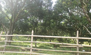 Vacant Lot for Lease in Laguindingan – Ideal for Parking, Storage, or Business!