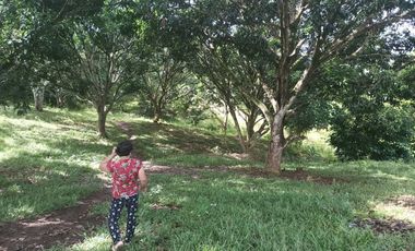 Vacant Lot for Lease in Laguindingan – Ideal for Parking, Storage, or Business!