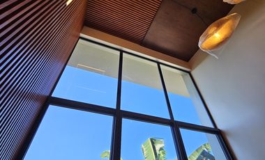 RUSH SALE! BF HEVA - BF Paranaque Luxurious Home For Sale - Newly Built