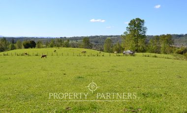 Precioso campito de 5,34 ha con verdes praderas a 25 kilómetros de Fresia