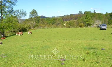 Precioso campito de 5,34 ha con verdes praderas a 25 kilómetros de Fresia