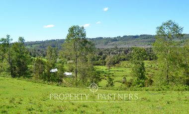 Precioso campito de 5,34 ha con verdes praderas a 25 kilómetros de Fresia