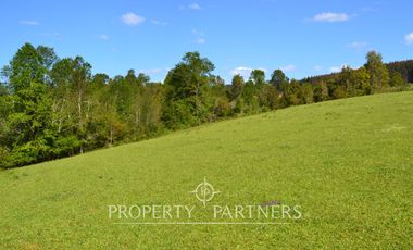 Precioso campito de 5,34 ha con verdes praderas a 25 kilómetros de Fresia