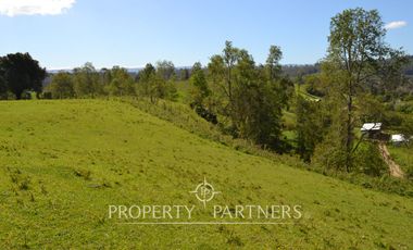 Precioso campito de 5,34 ha con verdes praderas a 25 kilómetros de Fresia