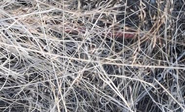 Terreno en Venta Ave Estado de México Municipio Tultitlan Estado de México.