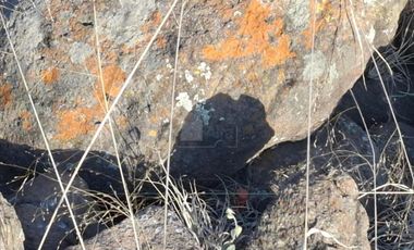 Terreno en Venta Ave Estado de México Municipio Tultitlan Estado de México.