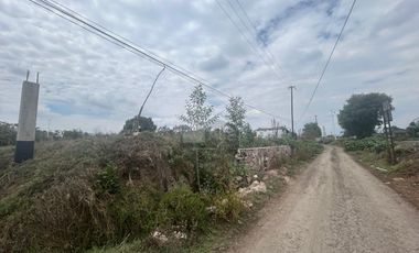 Terreno habitacional en renta en San Miguel Tocuila, Texcoco, México