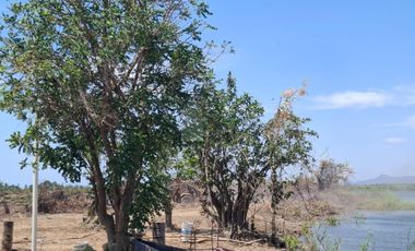 Lotes en desarrollo Residencial Los Manglares