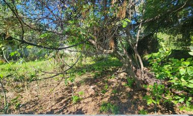 Venta de Terreno en Las Animas, zona Circuito Juan Pablo ll