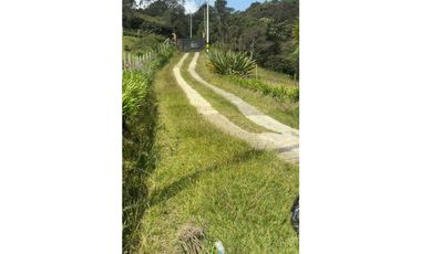 VENTA FINCA VEREDA BARRO BLANCO SANTA ELENA MEDELLN