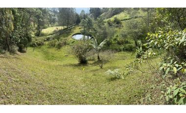 VENTA FINCA VEREDA BARRO BLANCO SANTA ELENA MEDELLN