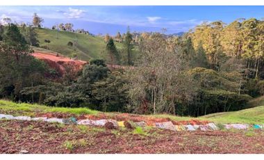 Venta de lote campestre unidad cerrada el retiro Antioquía